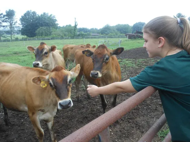 Falls Church’s Lil City Creamery: A Connoisseur’s Delight