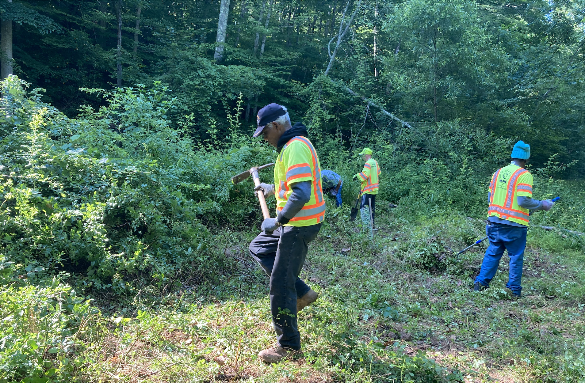 F.C. Bulletin: City's New Finance Director; Social Justice Committee Workshop; Tree Rescuers