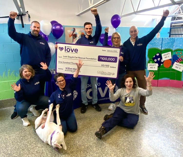 ‘Love Story’ Garners $100,000 Grant for F.C.’s Lost Dog & Cat Rescue Foundation
