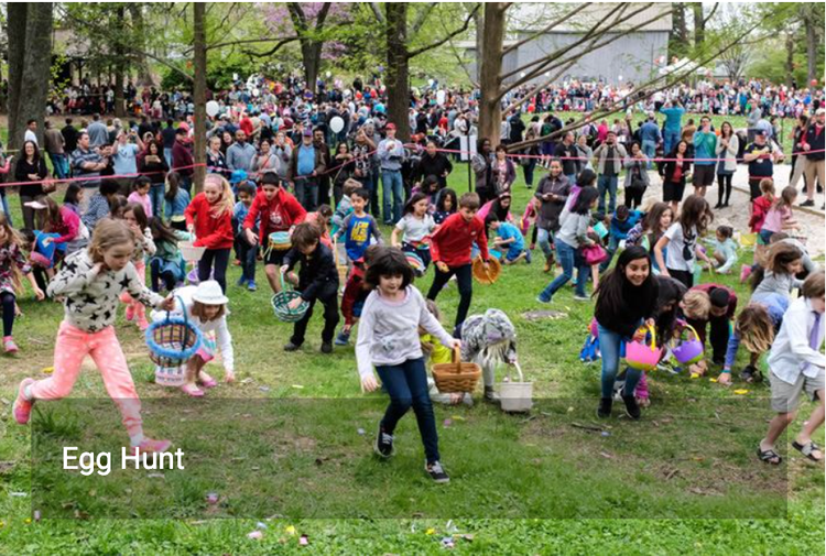 F.C. Bulletin: April 2, 2026