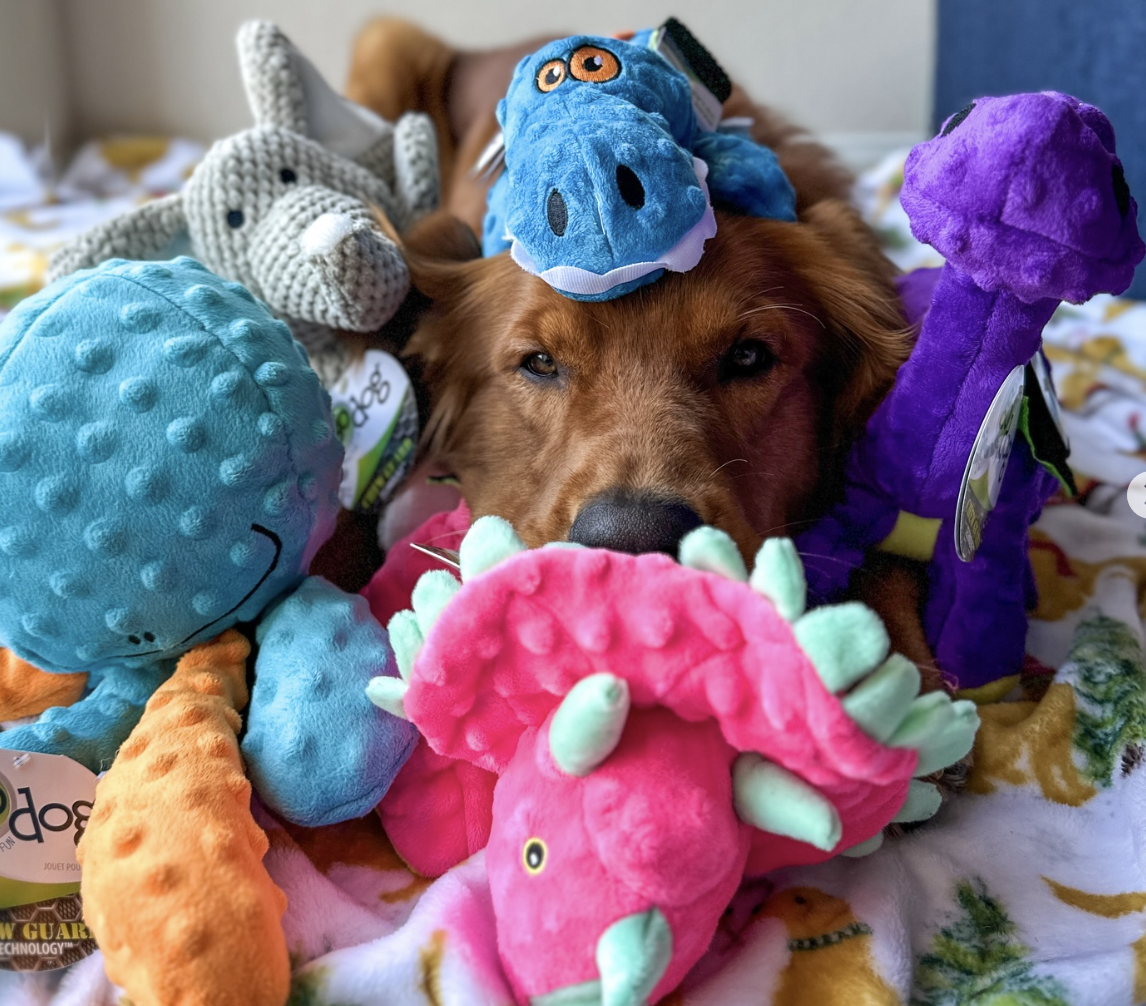 Old School: Mega-Retrieving